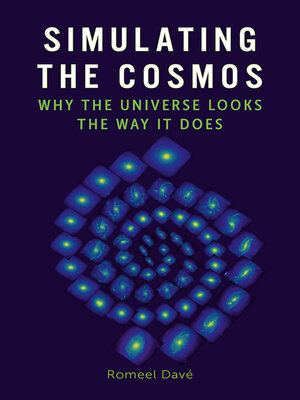 cover image of Simulating the Cosmos